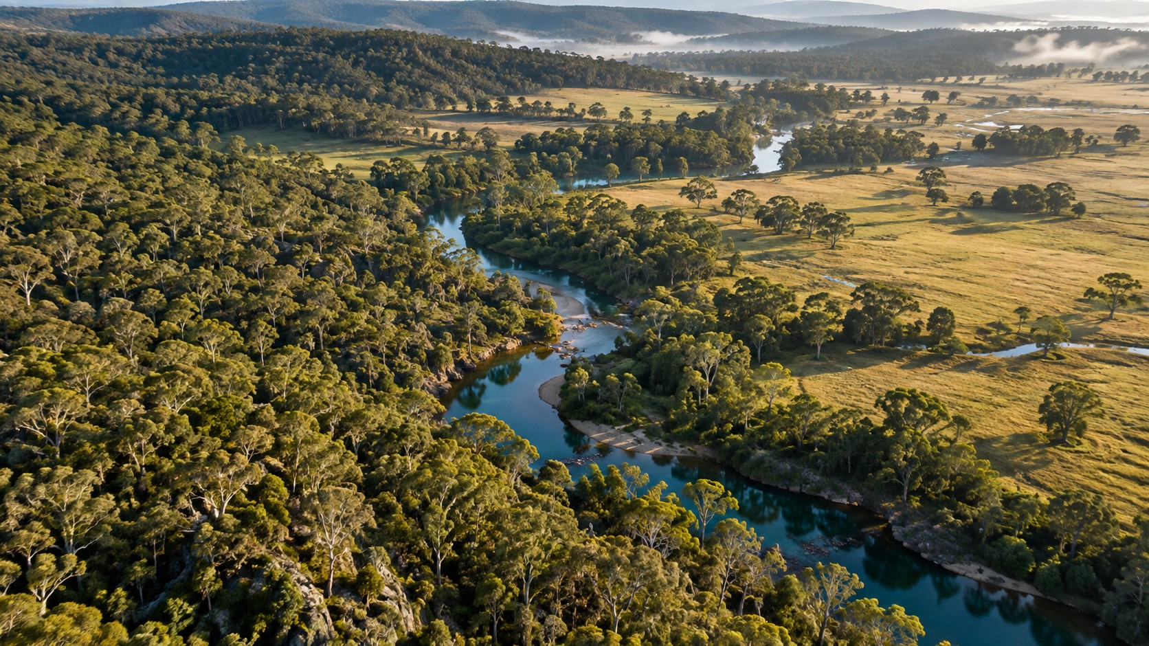 Illustrative aerial view of Australian eucalyptus bushland, pasture and a creek